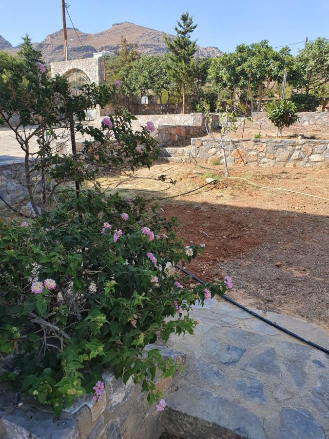 Villa Petrino Tsoútsouros Dış mekan fotoğraf